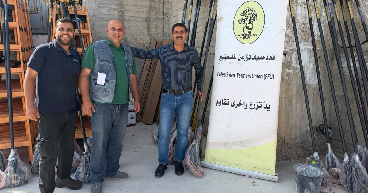 نابلس : إطلاق حملة “حراس البيدر” لدعم موسم قطف الزيتون